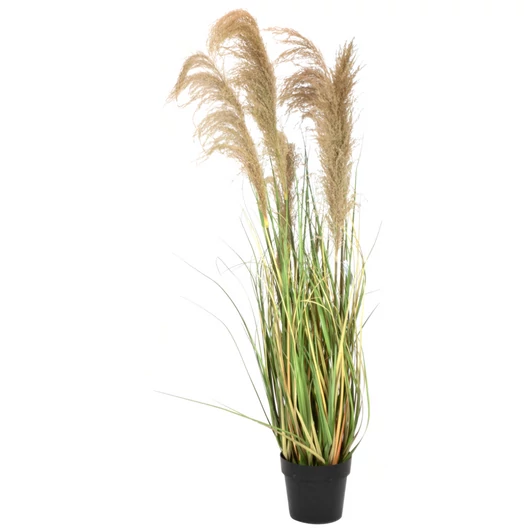 EUROPALMS Chinese silvergrass, artificial, 140cm