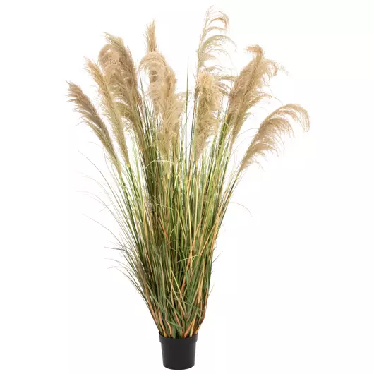 EUROPALMS Chinese silvergrass, artificial, 180cm