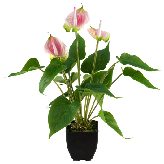 EUROPALMS Anthurium, artificial plant, white and pink