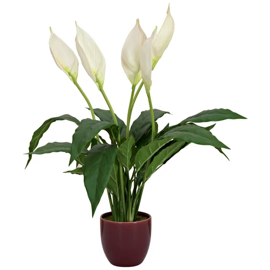 EUROPALMS Lily Peace, artificial plant, 49cm