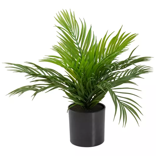 EUROPALMS Areca Palm, artificial plant, 46 cm