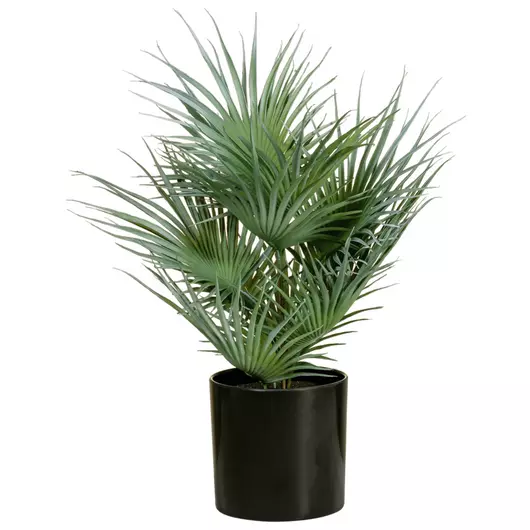 EUROPALMS Fan palm, artificial plant, 55cm