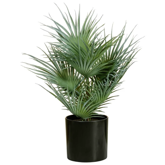 EUROPALMS Fan Palm, artificial plant, 55cm