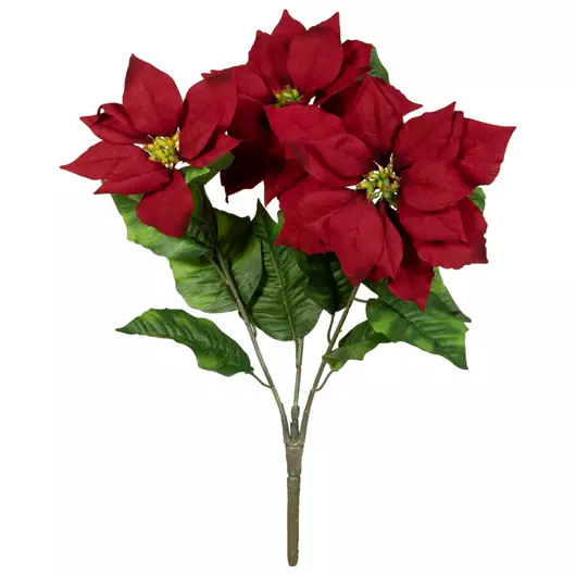 EUROPALMS Poinsettia bush, red, 50cm