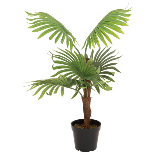 EUROPALMS Fan palm, artificial plant, 88cm