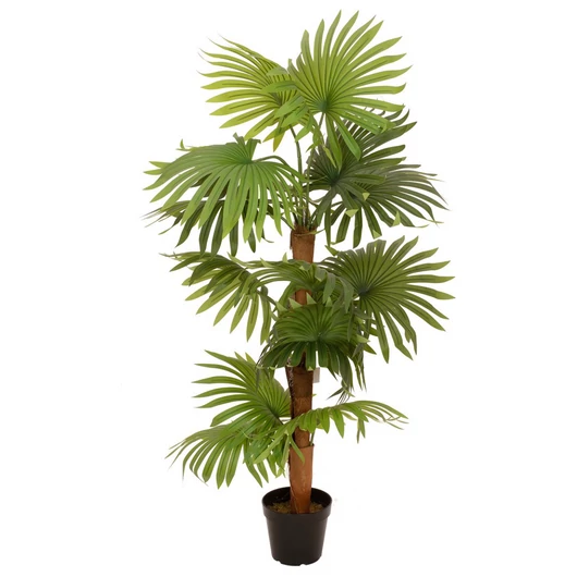 EUROPALMS Fan Palm, artificial plant, 130cm