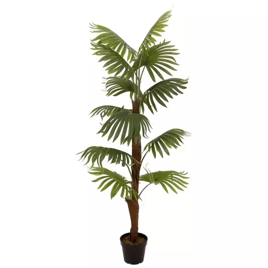 EUROPALMS Fan palm, artificial plant, 155cm