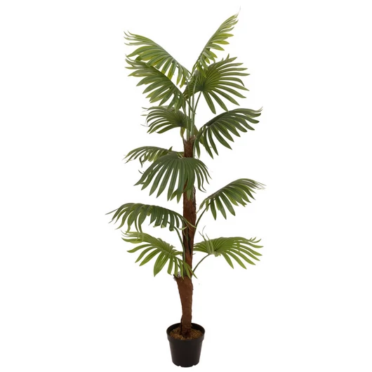 EUROPALMS Fan Palm, artificial plant, 155cm