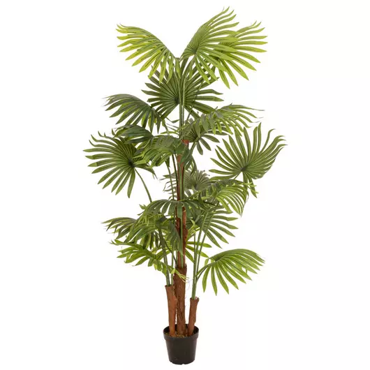 EUROPALMS Fan palm, artificial plant, 165cm