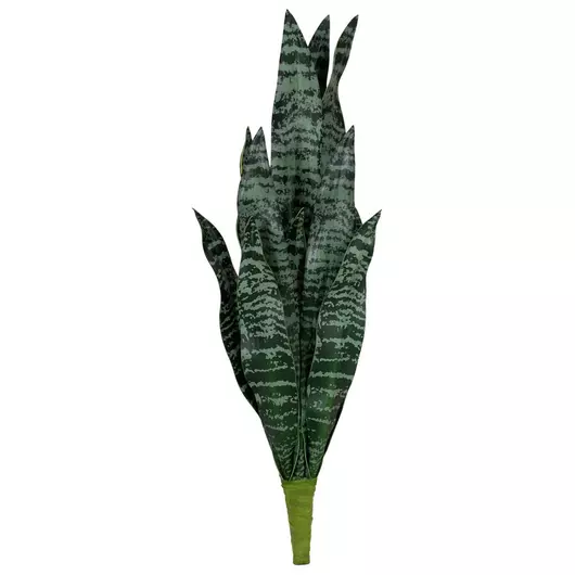 EUROPALMS Snake Tongue (EVA), artificial, green, 60cm