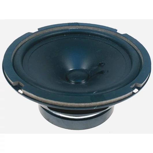  Woofer for C-60