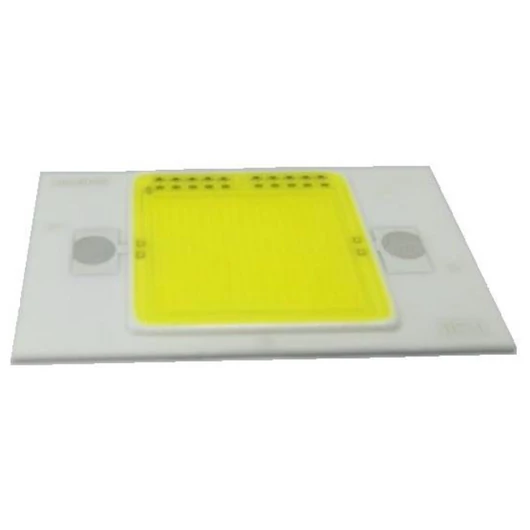  LED COB 30W CW FL-30 (DRD-HW-S101)