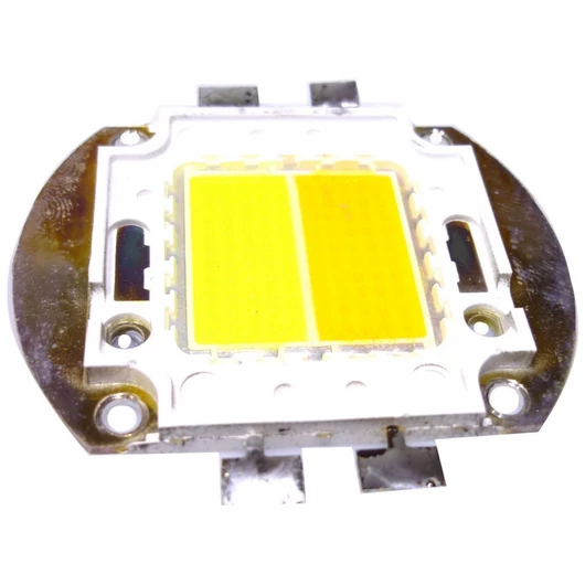  LED COB 100W CW/WW