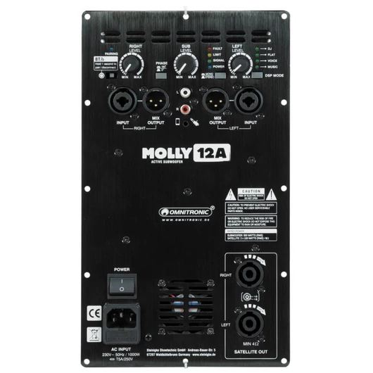  Amplifier module MOLLY-12