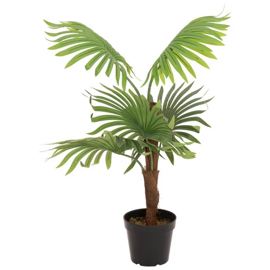 EUROPALMS Fan Palm, artificial plant, 88cm