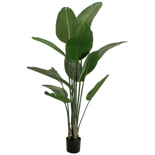 EUROPALMS Strelitzia, artificial plant, 170cm