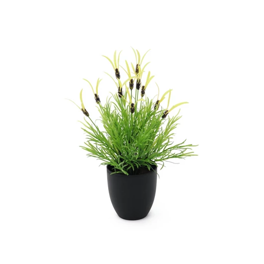 EUROPALMS Feather lettuce, artificial, 40cm
