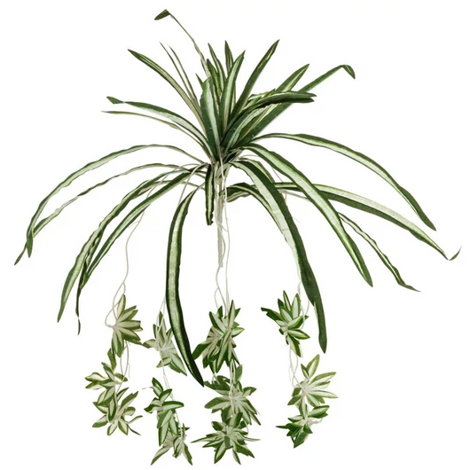 EUROPALMS Spider plant, artificial, 60cm