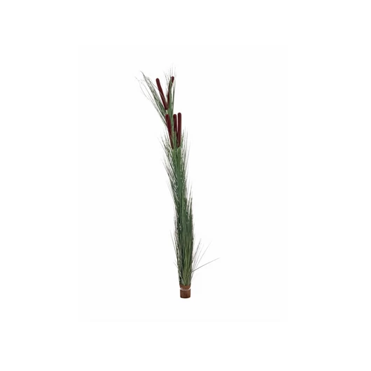 EUROPALMS Reed grass with cattails,dark-green, artificial, 152cm