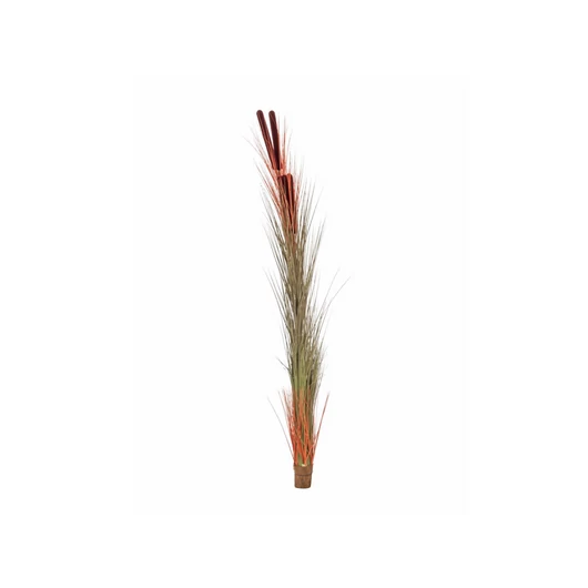 EUROPALMS Reed grass with cattails, light-brown, artificial, 152cm