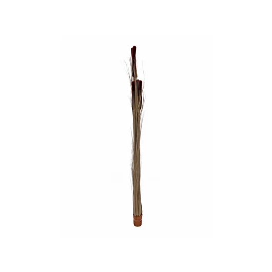 EUROPALMS Reed grass cattails, dark-brown, artificial,  152cm