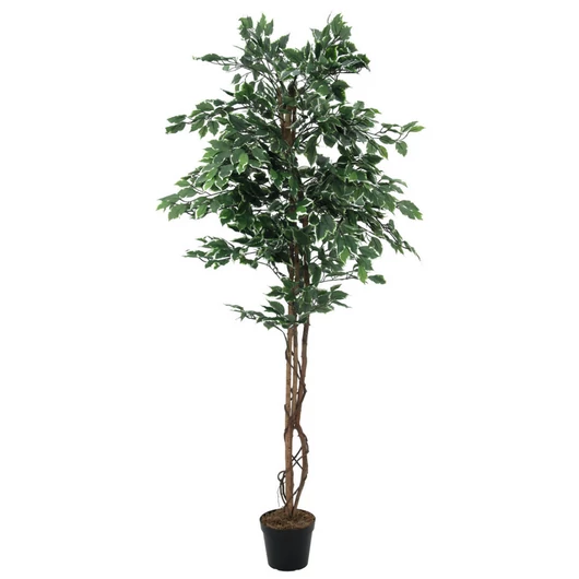 EUROPALMS Variegated Ficus, artificial plant, 180cm