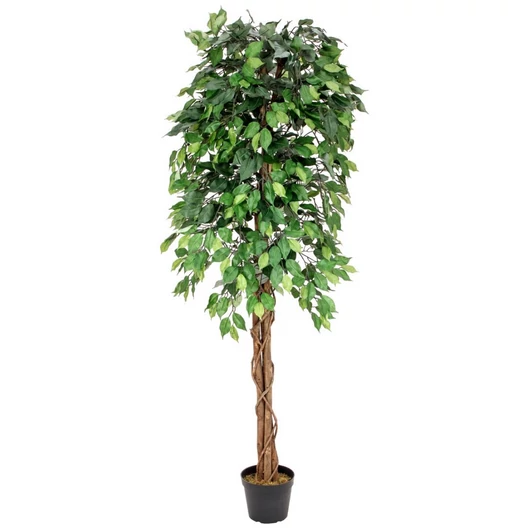EUROPALMS Ficus Tree Multi-Trunk, artificial plant, 180cm