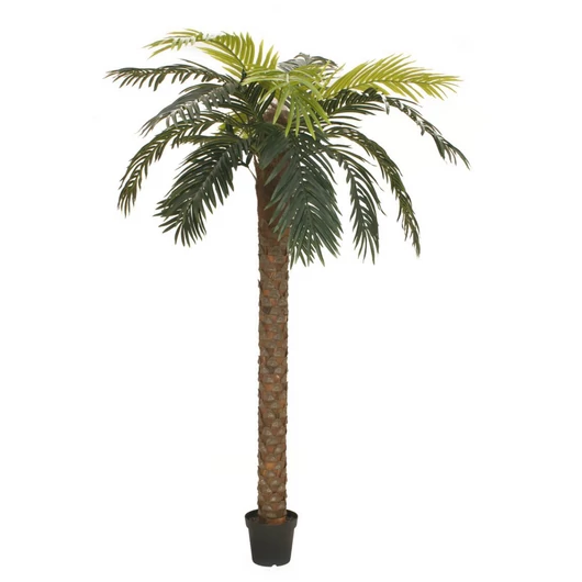EUROPALMS Phoenix palm deluxe, artificial plant, 300cm