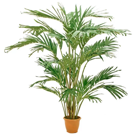 EUROPALMS Canary date palm, artificial plant, 240cm