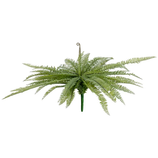 EUROPALMS Boston fern, artificial plant, green, 70cm
