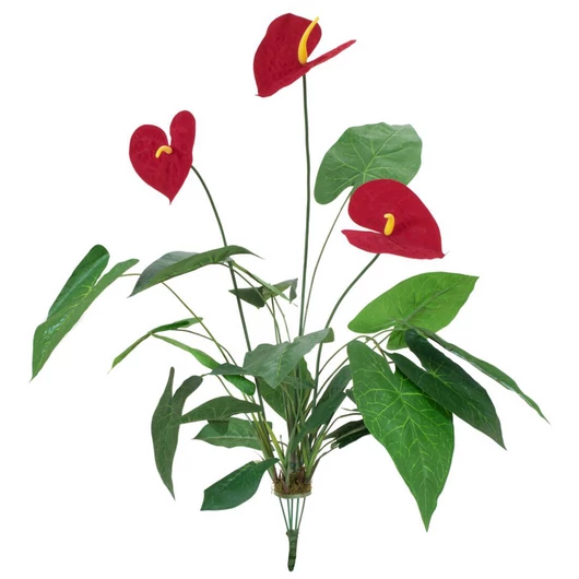 EUROPALMS Anthurium, artificial, 70cm