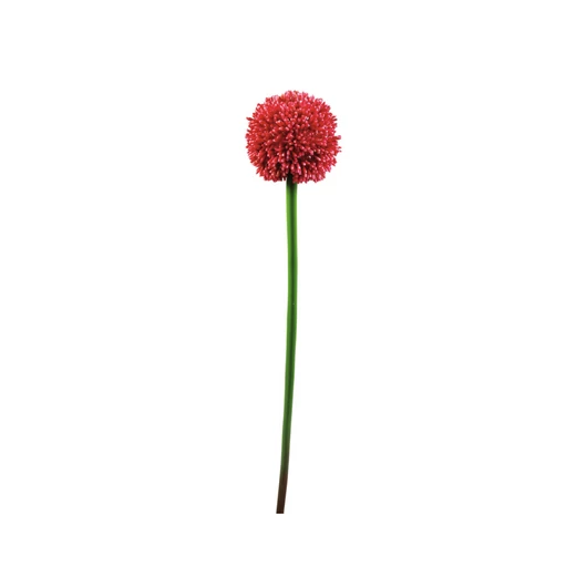 EUROPALMS Allium spray, artificial, red, 55cm