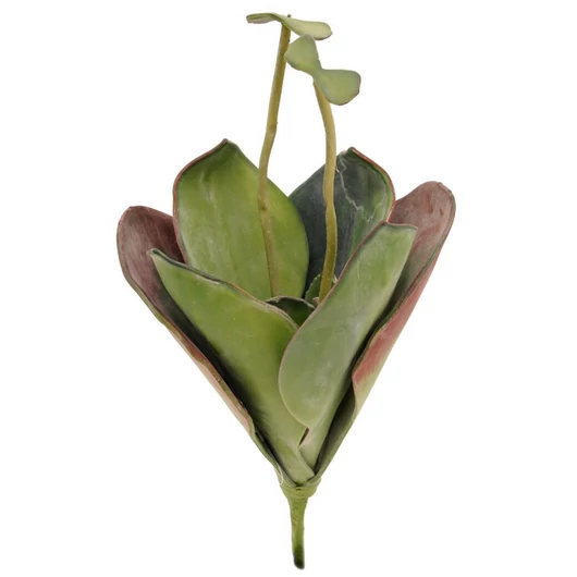 EUROPALMS Water Lily (EVA),artificial plant, closed, green, 45cm