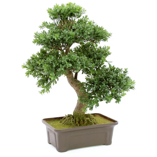 EUROPALMS Bonsai, artificial plant, 61 cm