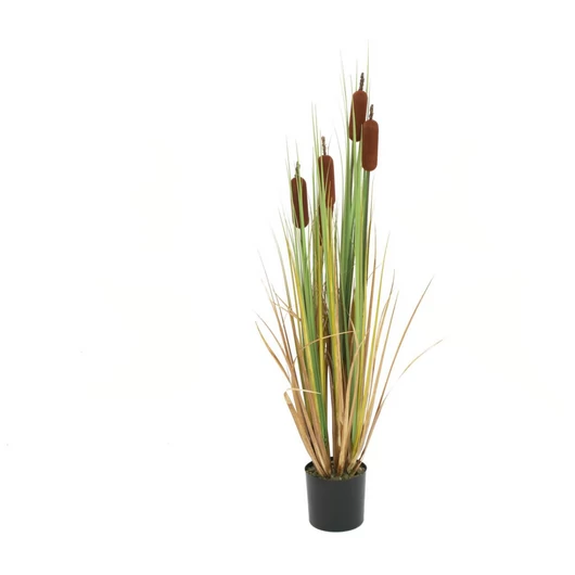 EUROPALMS Bulrush, alrtificial plant, 150cm