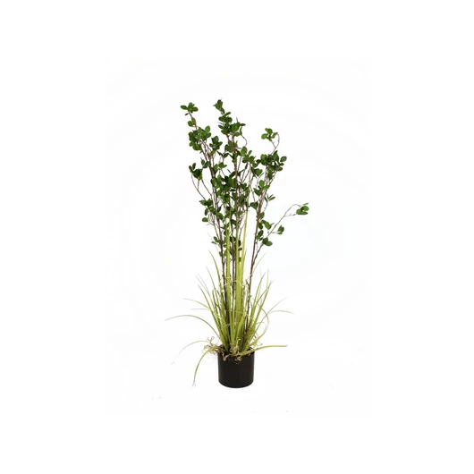 EUROPALMS Evergreen shrub with grass, artificial plant, 120cm