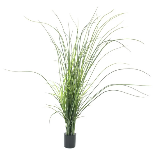 EUROPALMS Reed (grass),  artificial, 145cm