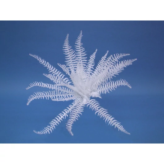 EUROPALMS White boston fern, artificial, 60cm