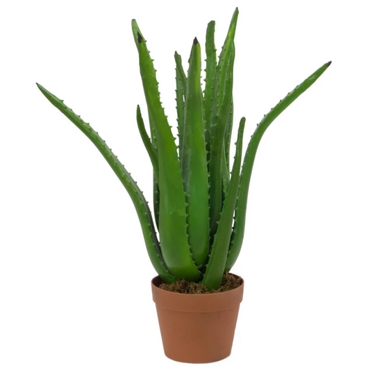EUROPALMS Aloe Vera Plant, artificial plant, 63cm