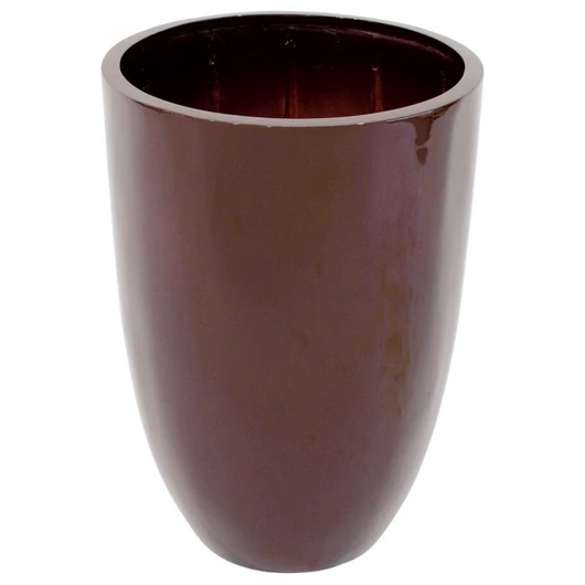 EUROPALMS LEICHTSIN CUP-49, shiny-brown