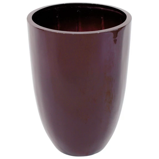 EUROPALMS LEICHTSIN CUP-69, shiny-brown