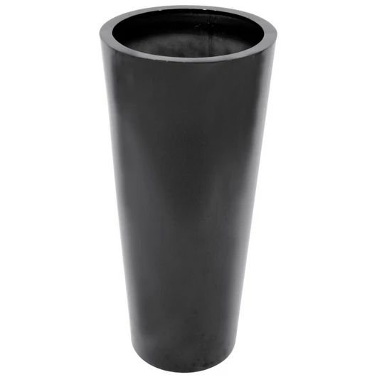 EUROPALMS LEICHTSIN ELEGANCE-110, shiny-black