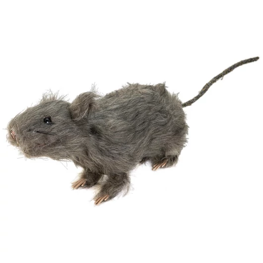 EUROPALMS Rat, lifelike with coat 30cm