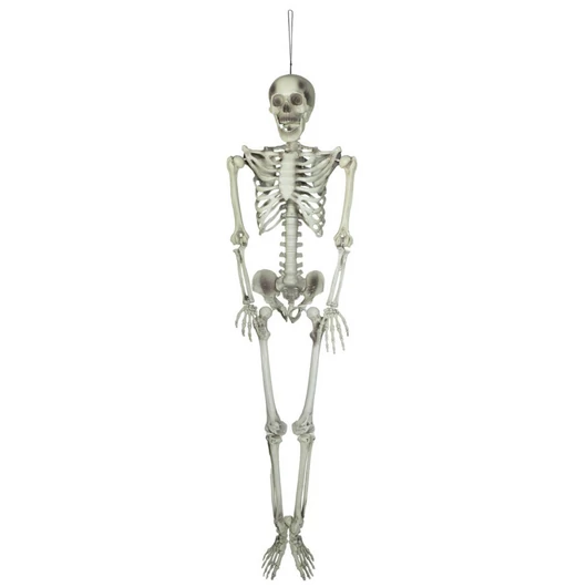 EUROPALMS Halloween Skeleton, 150 cm