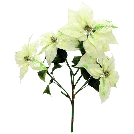 EUROPALMS Poinsettia bush, cream, 60cm