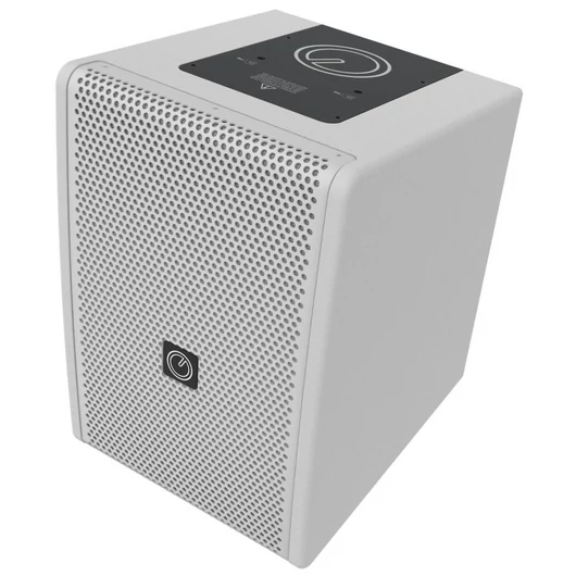 INTUSONIC 6FP100T 6.5" 2-way Fullrange Speaker white