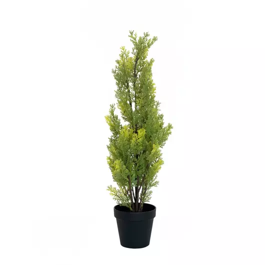 EUROPALMS Cypress, Leyland, artificial plant, 60cm