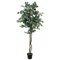 EUROPALMS Variegated Ficus, artificial plant, 180cm