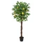EUROPALMS Lemon tree, artificial plant, 150cm