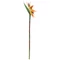 EUROPALMS Bird-of-paradise spray, artificial plant, orange, 95cm